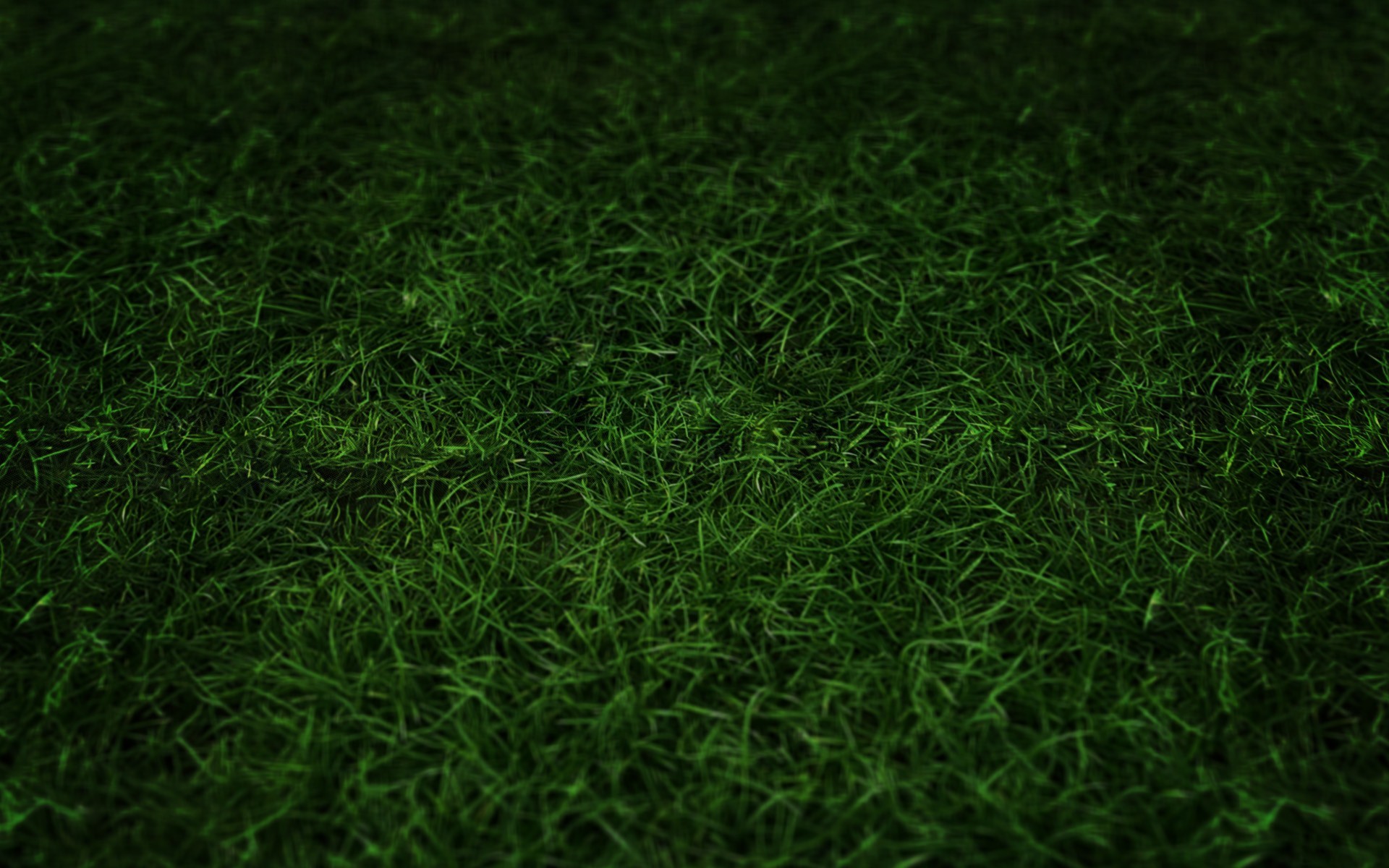 Desktop Grass HD Wallpapers | PixelsTalk.Net
