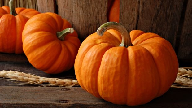 Images Pumpkin Wallpapers HD.