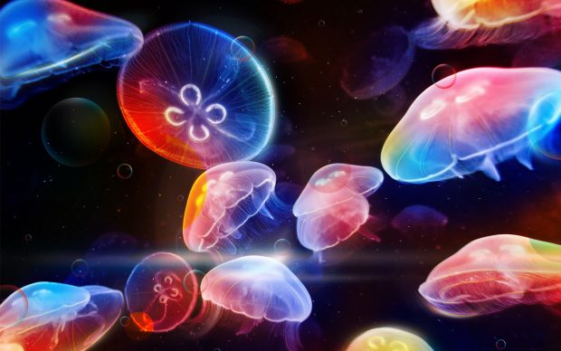 Jellyfish Background.