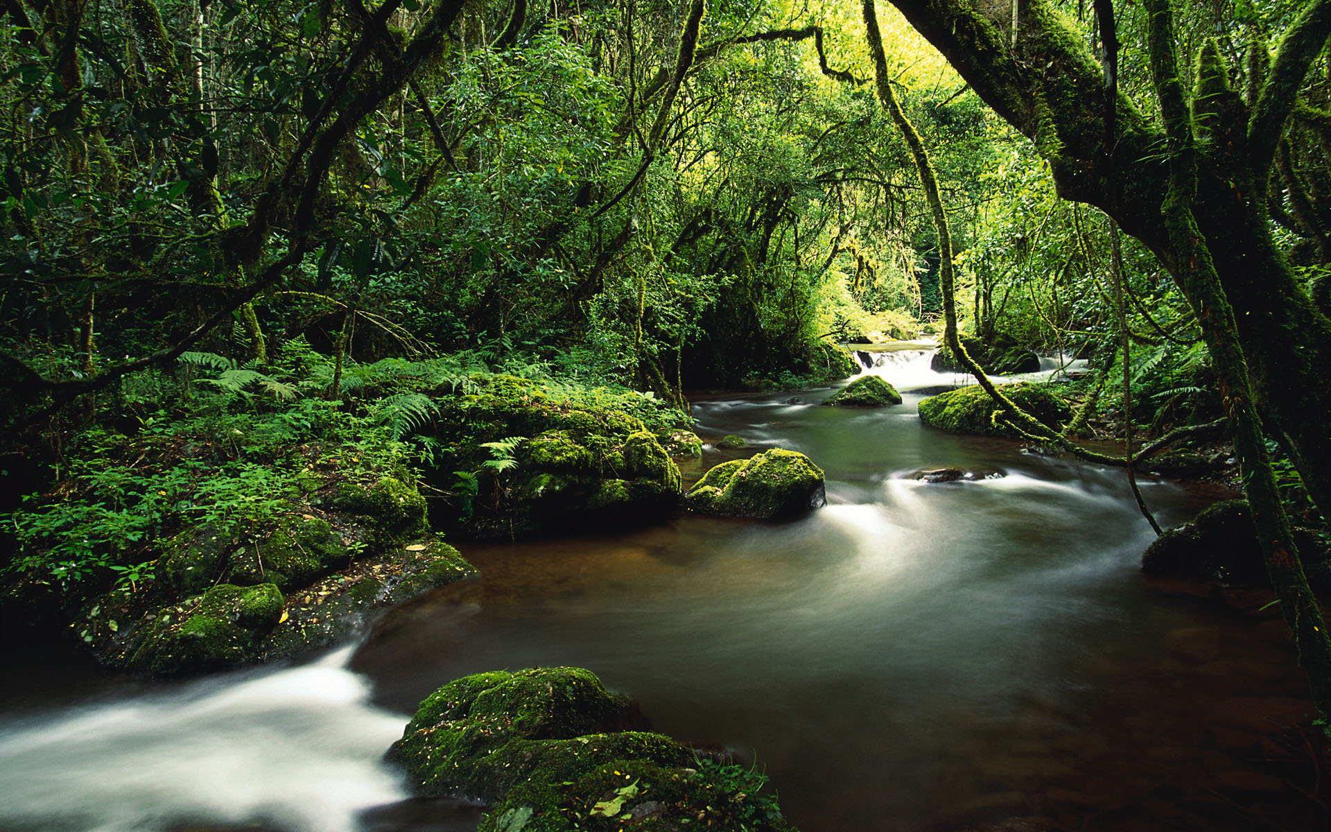 Mkambati Nature Reserve, Pondoland Coast, South Africa без смс