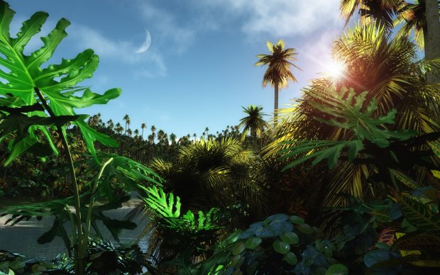 Jungle Wallpaper Download Free.