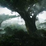 Jungle Wallpaper HD Background.