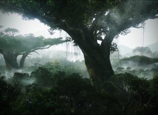 Jungle Wallpaper HD Background.
