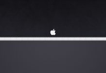 Leather Apple Photo.
