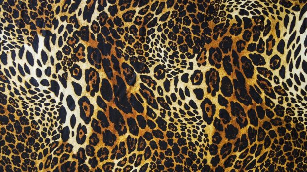 Leopard Print Wallpapers HD.
