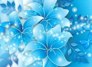 Light Blue Flowers HD Desktop Background