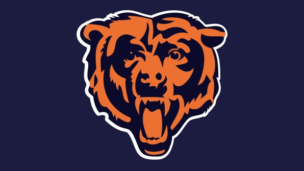 Logo american football blinds wallpaper sports field chicago bears bear image.