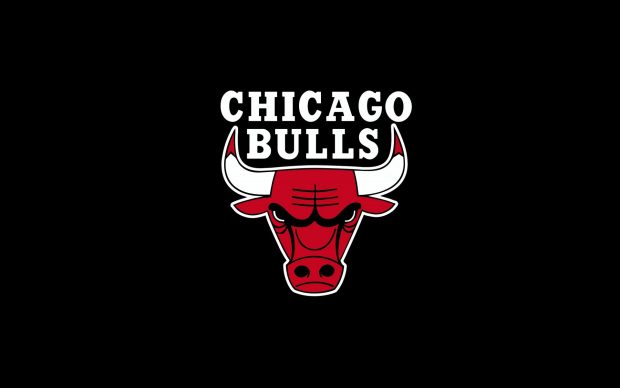 Logo of Chicago Bulls 2