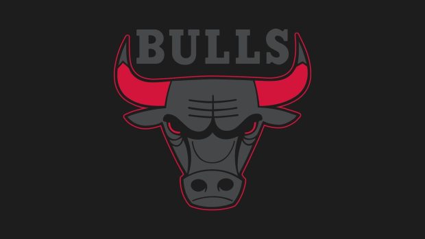 Logos Chicago Bulls Team 2