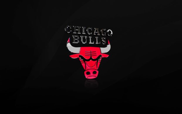 Logos Chicago Bulls Team 4
