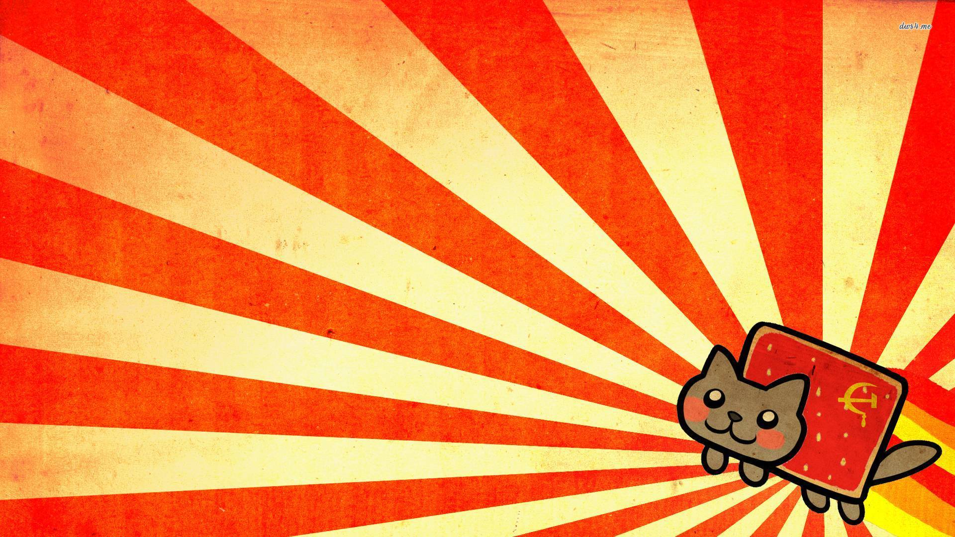 Party Cat Meme Wallpaper Cat Memes Pet Style Funny Cat Memes