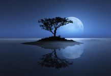 Moon Wallpapers Free.