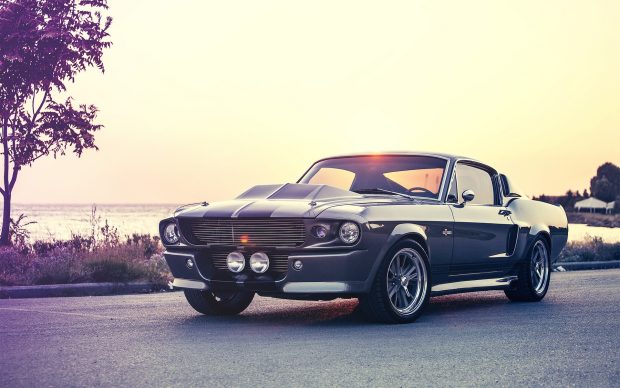 Muscle Car Photos.