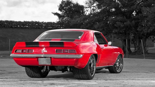 Muscle Car Picture.