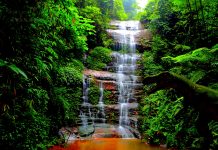New Waterfall Wallpaper.