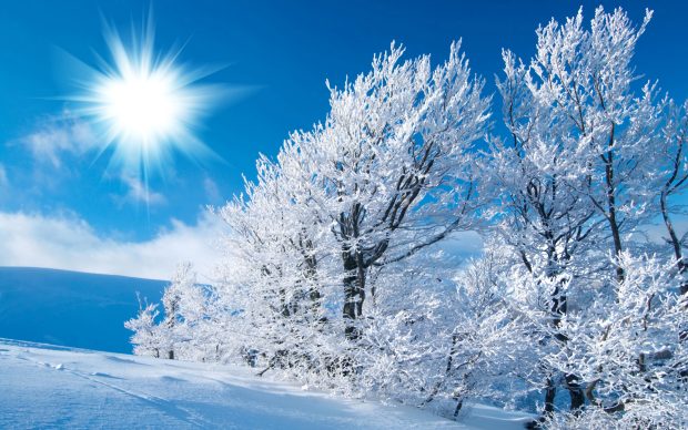 Nice best winter wallpapers hd free for desktop.