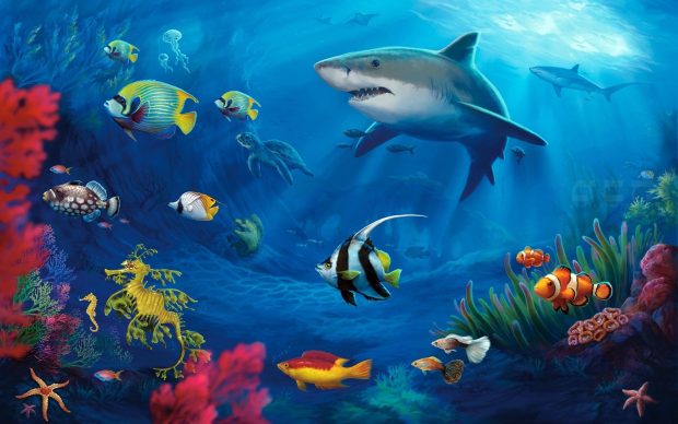 Ocean Underwater Wallpaper HD.