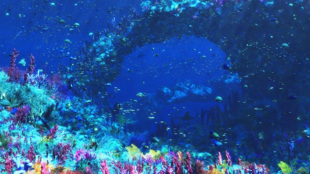 Ocean Underwater Wallpaper HD For Desktop.