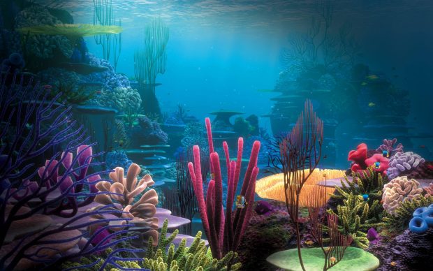 Ocean Underwater Wallpaper HD Free Download.