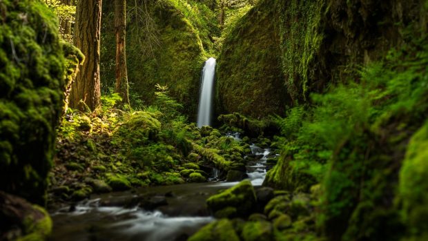 Oregon nature fall wallpaper hd.