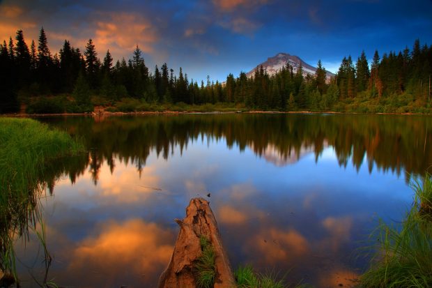 Oregon nature wallpaper hd.