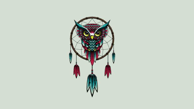 Owl bird dreamcatcher art.