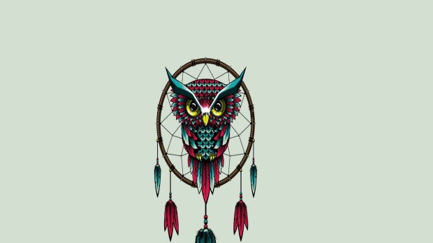 Owl bird dreamcatcher art wallpapers hd.