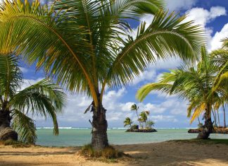 Wai'alae Beach Park, Island of Oahu, Hawaii