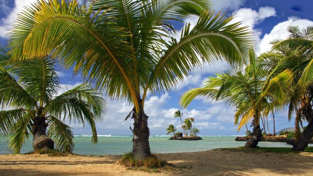 Wai'alae Beach Park, Island of Oahu, Hawaii