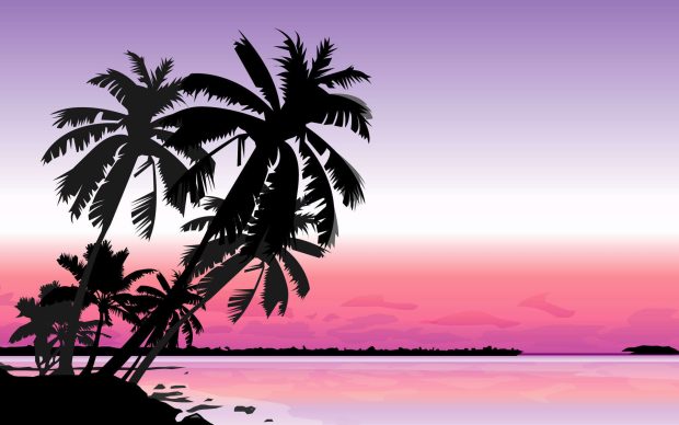 Palm tree hd wallpapers.