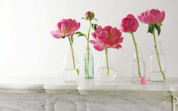 Peony Pictures.