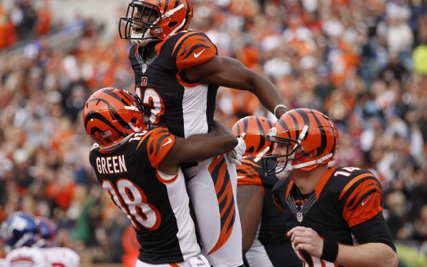 Photos Bengals Wallpapers HD.