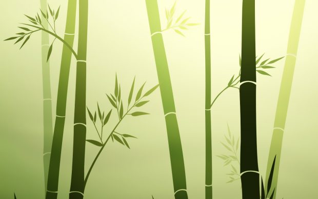 Photos HD Bamboo Backgrounds.