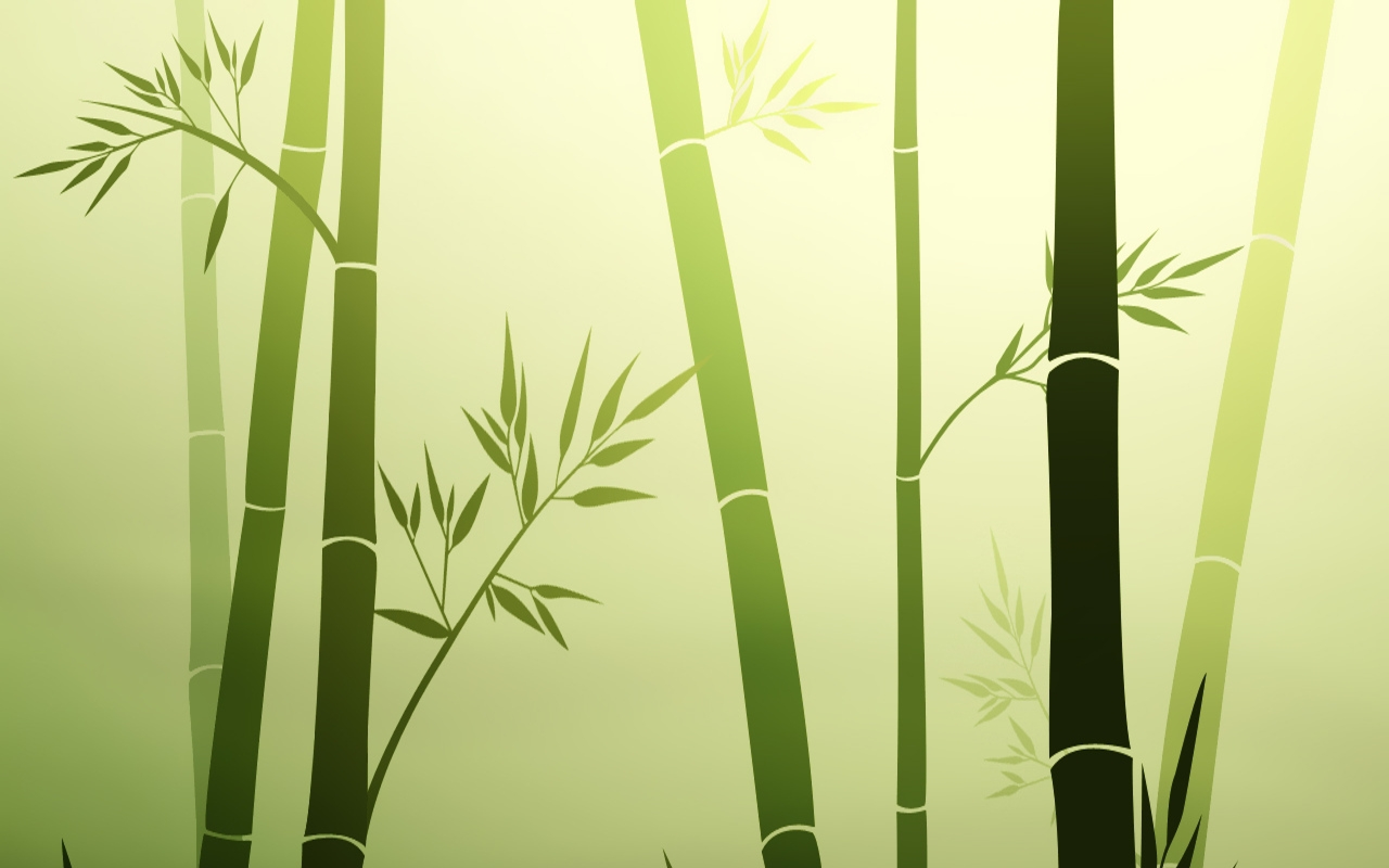 Hd Bamboo Backgrounds Download Pixelstalknet