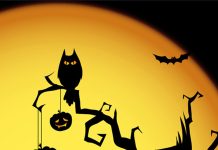 Photos Halloween iPhone Wallpaper Backgrounds.
