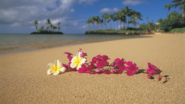 Photos Nature Hawaii Wallpapers HD.