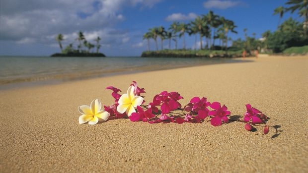 Photos Nature Hawaii Wallpapers HD.