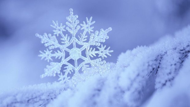 Photos Snowflake Wallpaper HD.