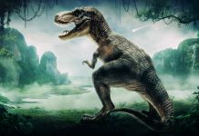 Pictures Download Dinosaur Backgrounds.