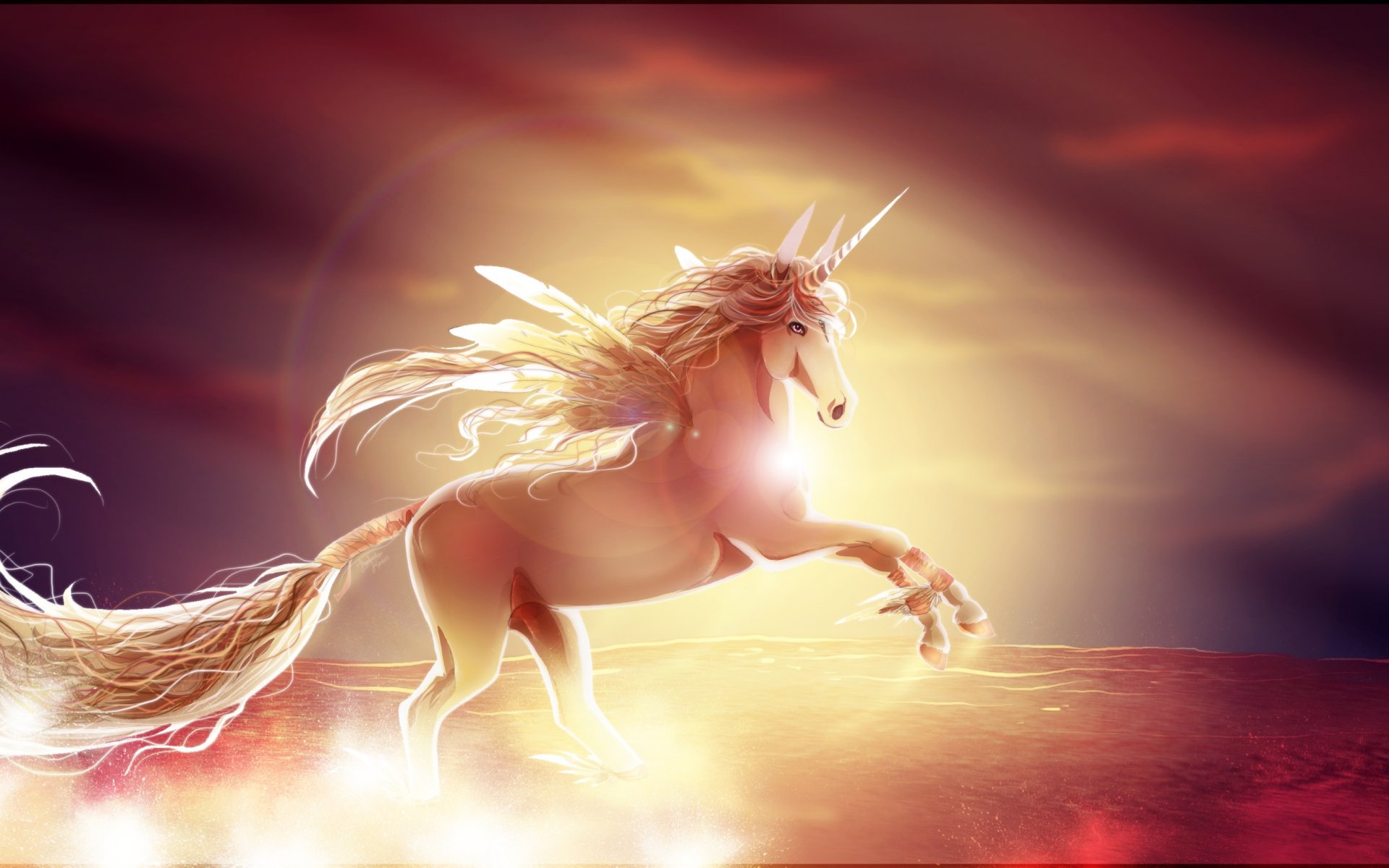 Unicorn Wallpapers HD | PixelsTalk.Net