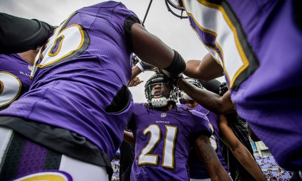 Pictures HD Ravens Download.