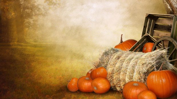 Pictures Pumpkin Wallpapers HD.