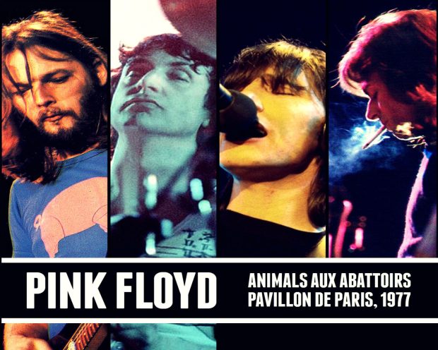 Pink Floy Photos.