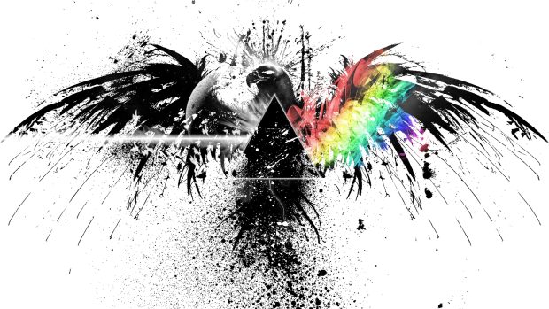 Pink floyd bird graphics spray colors wallpapers.