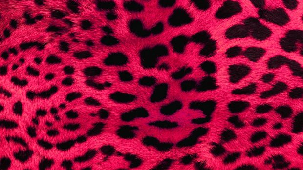 Pink leopard print wallpaper 1920x1080.