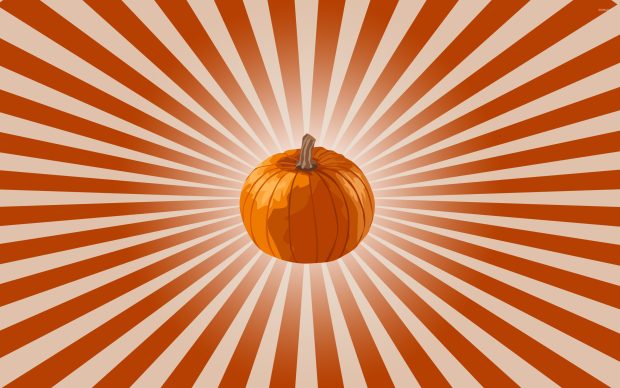 Pumpkin Wallpapers HD Photos Download.