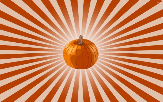 Pumpkin Wallpapers HD Photos Download.