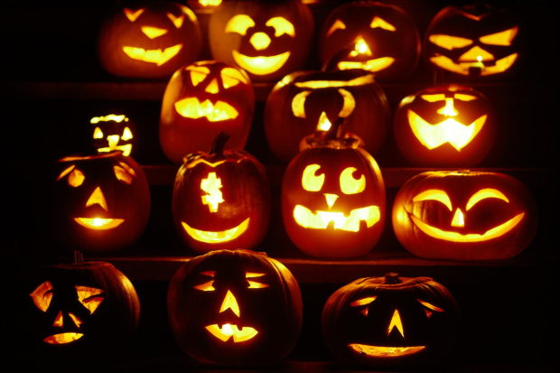 Pumpkins Halloween Wallpaper.