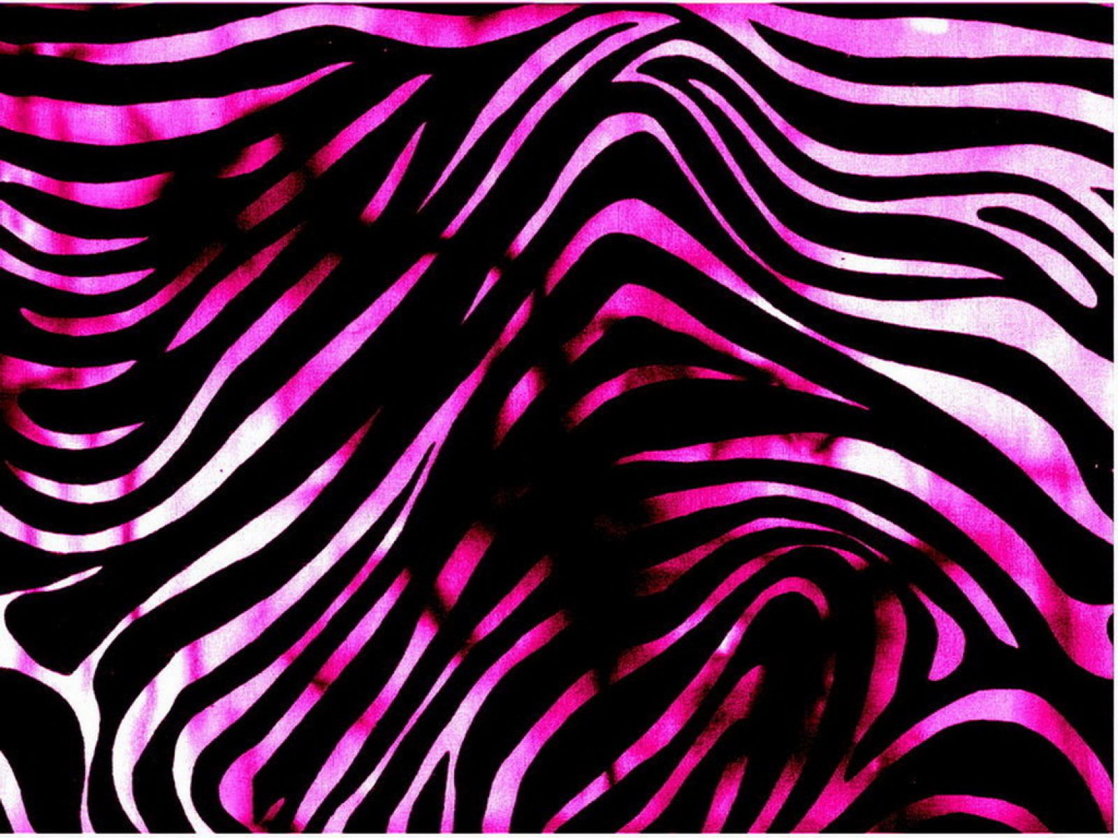 Purple Zebra Print Wallpaper.