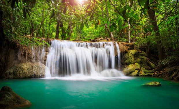 Rainforest waterfall wallpaper 2560x1600.